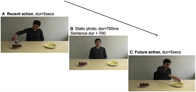 Integration of visual context in early and late bilingual language processing: evidence from eye-tracking